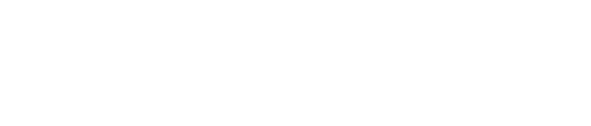 Ghana Logo